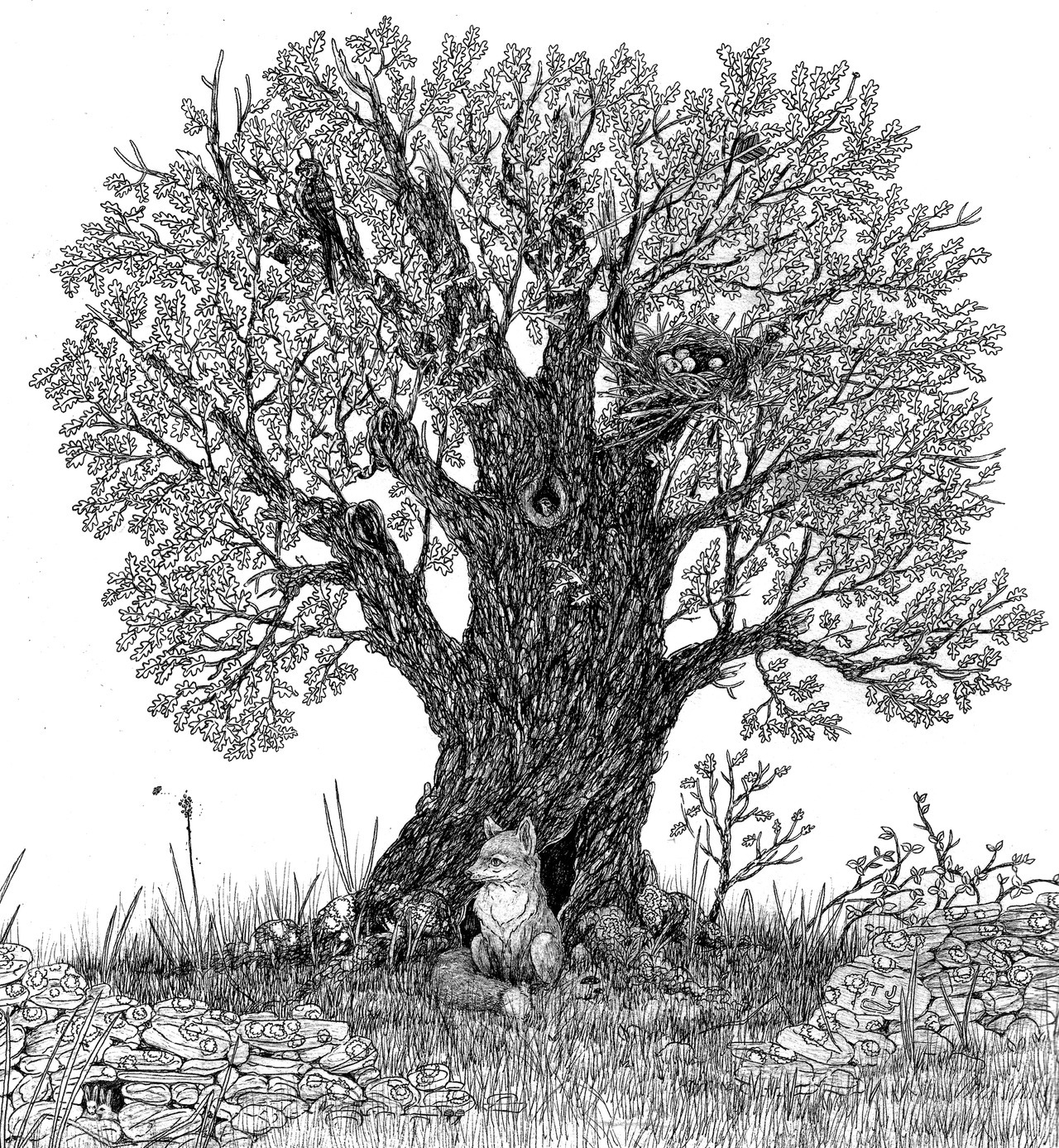 Дерево иллюстрация