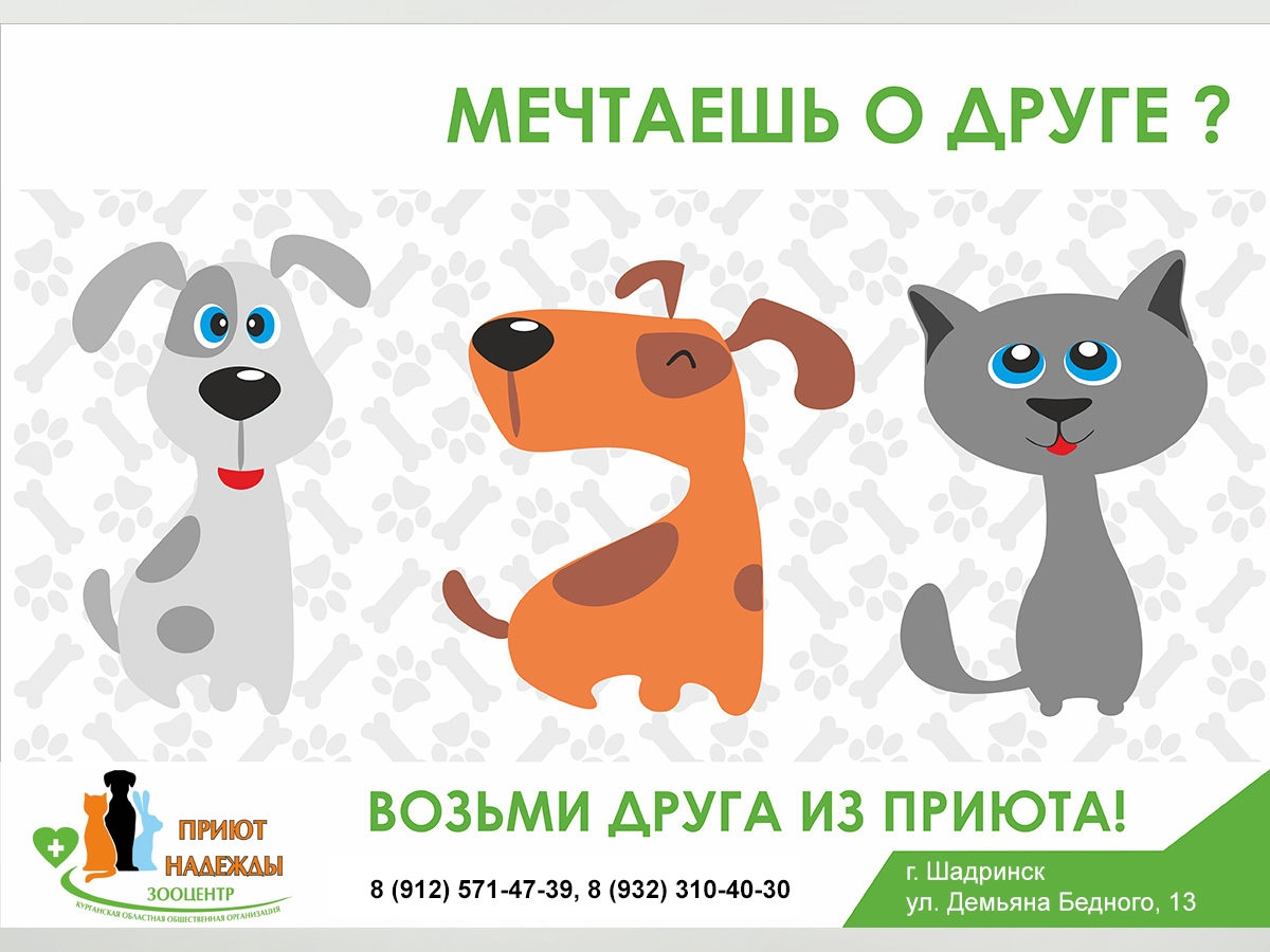 Плакат помощь бездомным животным