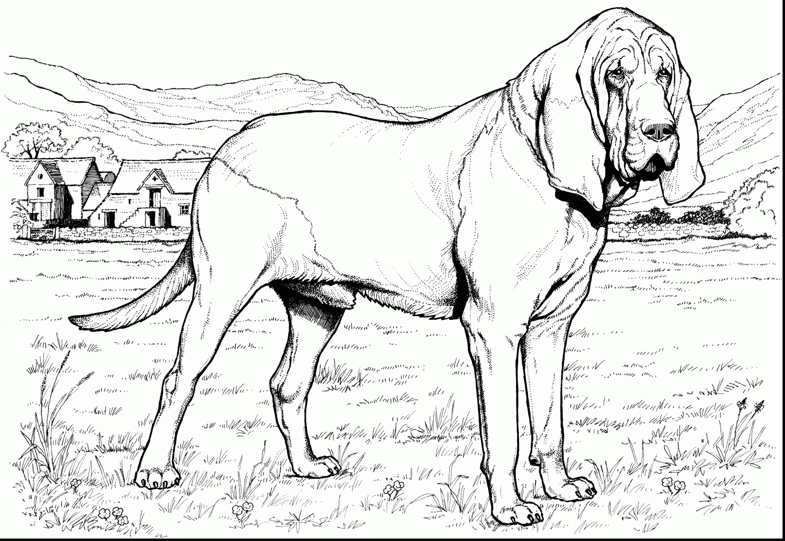 Раскраска большая собака