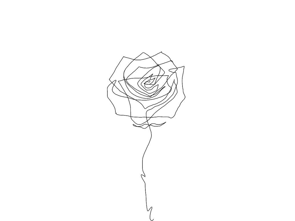 Роза одной линией
