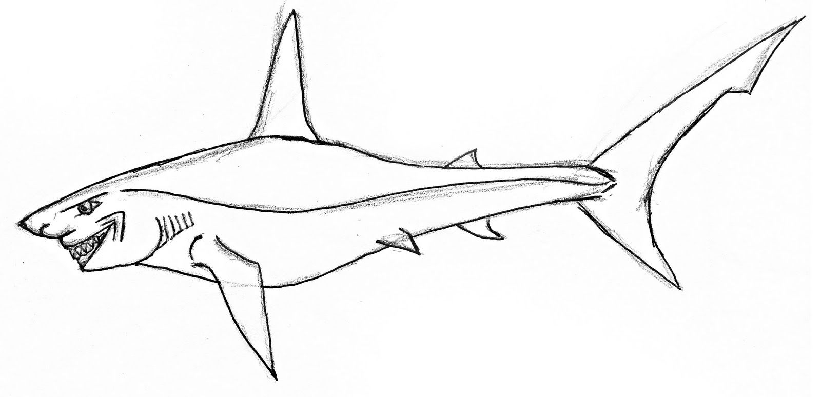Раскраска гигантская акула молот