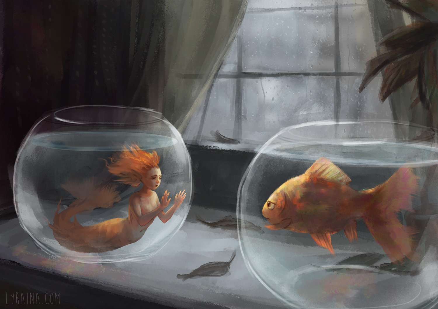 Рыбки за стеклом
