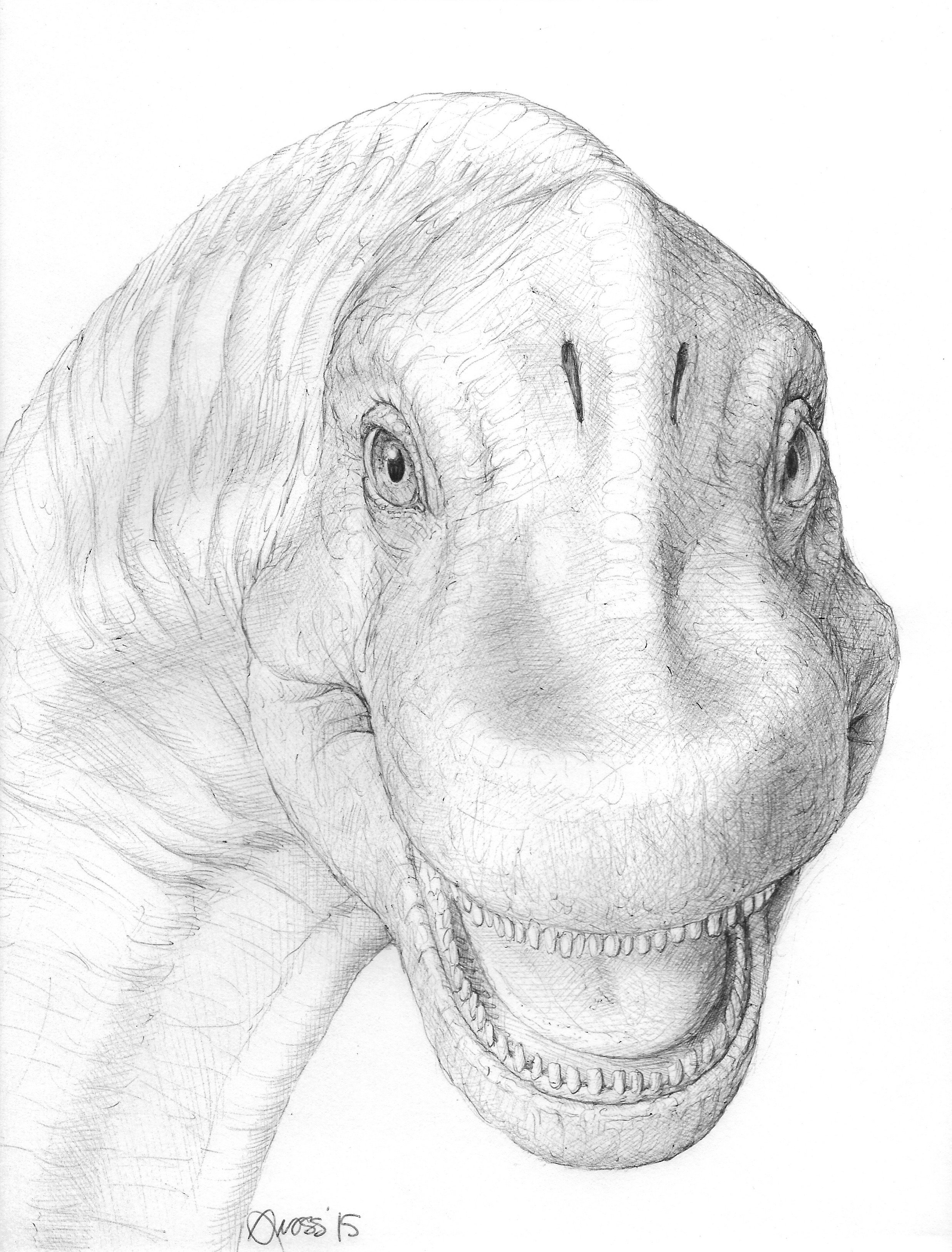 Динозавр рисунок