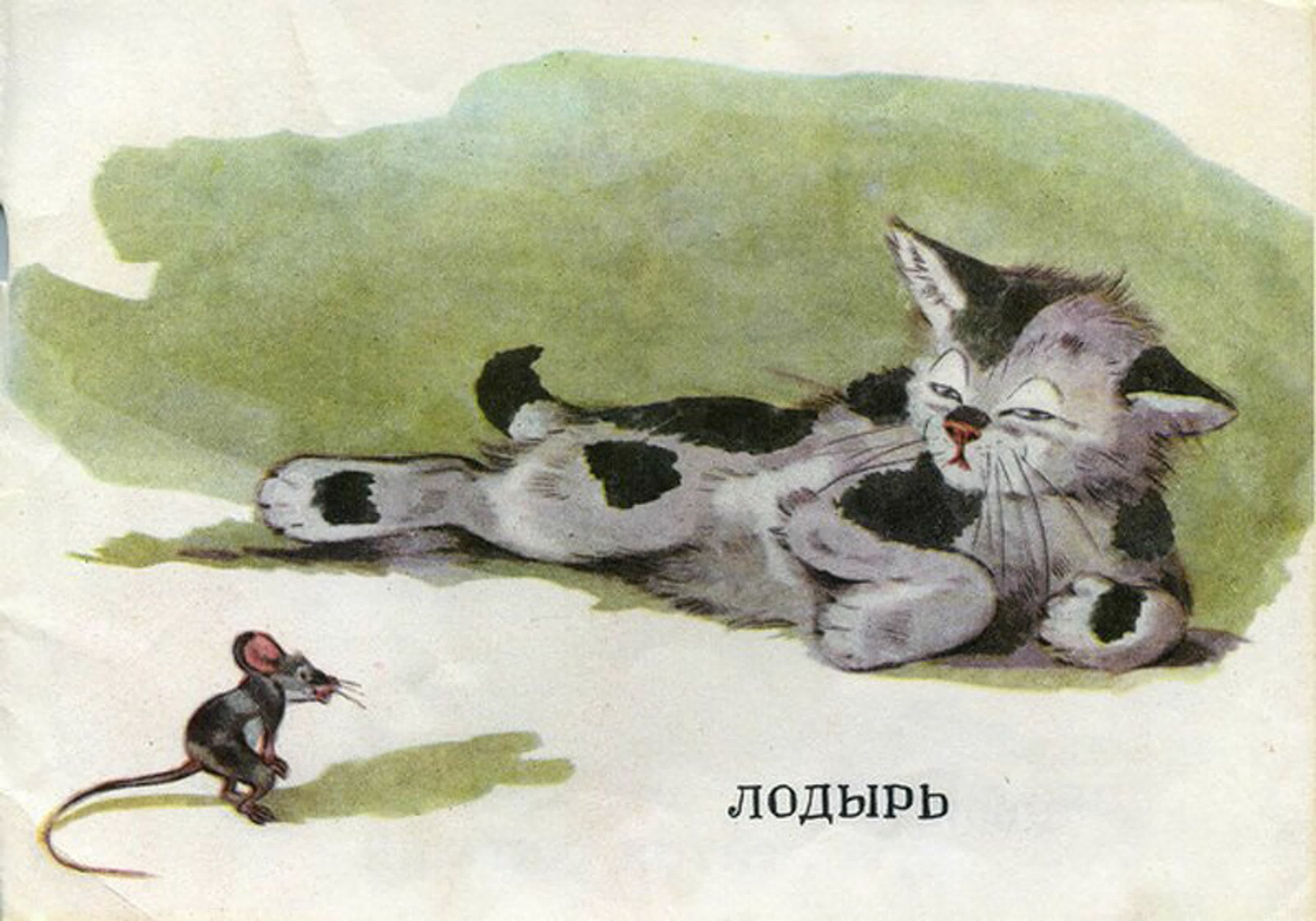 Иллюстрация к рассказу котенок Толстого