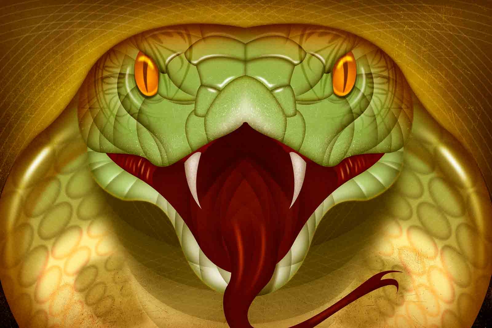 Змея морда арт
