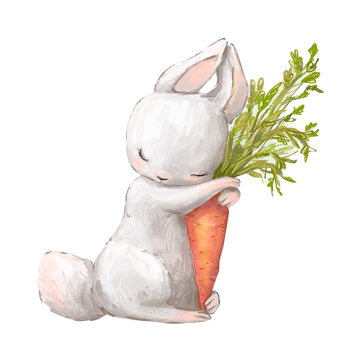 Заяц с морковкой картинки