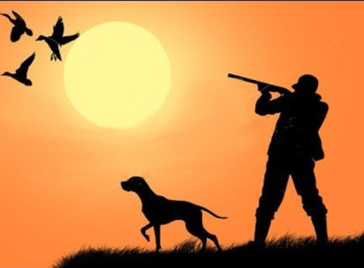 Силуэт охотника с ружьем и собакой