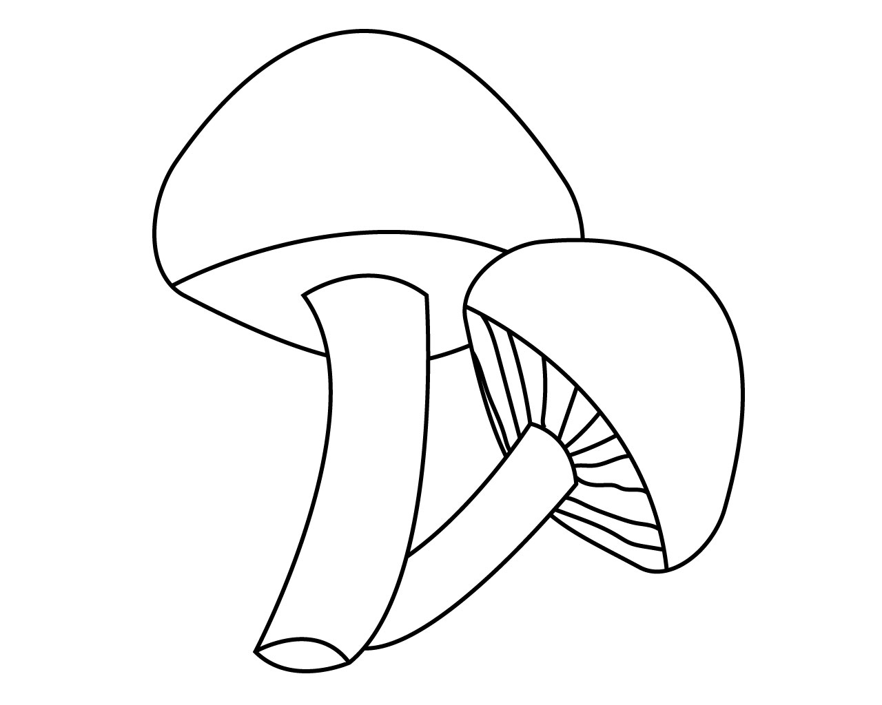 Раскраска гриб моховик