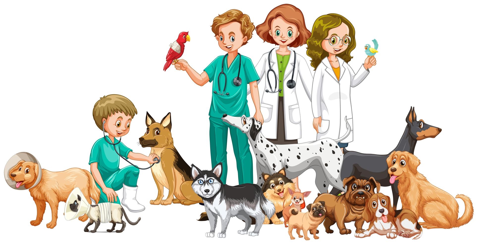 Рисунок ветеринара с животными
