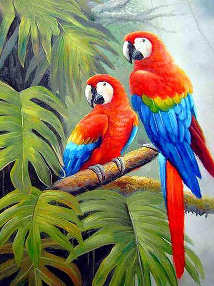 Как нарисовать попугая красками
