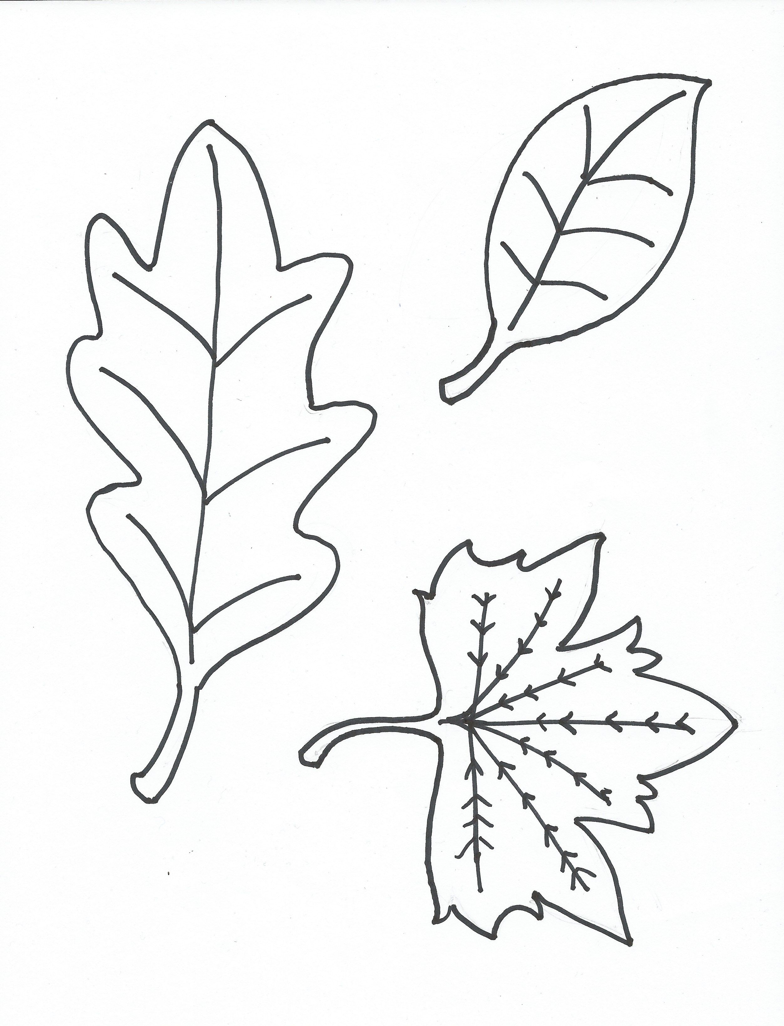 Трафареты листьев с названиями