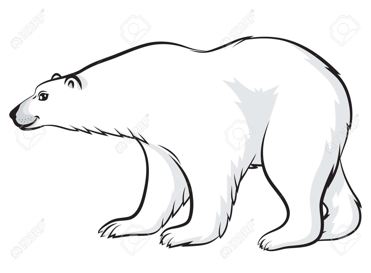 Контур белый медведь на белом фоне